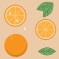 Illustration. Oranges and citrus fruits on a warm background. Royalty Free Stock Photo